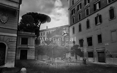 Perpetual: lo chef Predescu porta a Roma la "ristorazione differente"