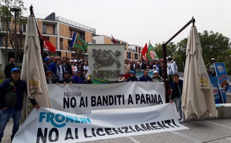 Froneri: la disperata situazione dei lavoratori arriva all'Europarlamento