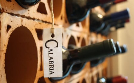 Calabria: ripartire dal turismo enogastronomico per valorizzare la regione