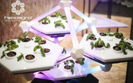 Grazie a Living Farming Tree l'orto arriva in hotel