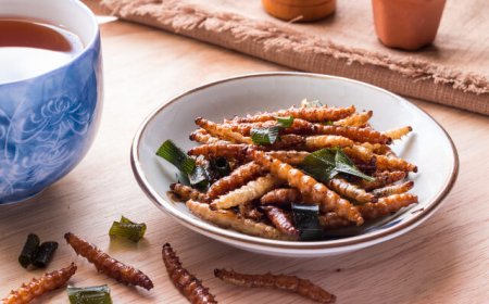 Novel Food: gli insetti arrivano a tavola anche in Europa