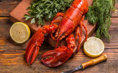 Svizzera: nuove regole per la cottura e la conservazione dei crostacei