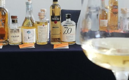 Grande successo per la prima edizione di Gocce di Stilla