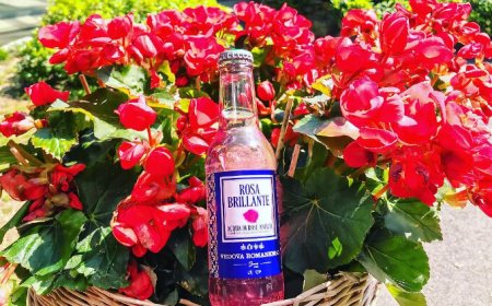 Rosa Brillante: la nuova acqua tonica alle rose antiche