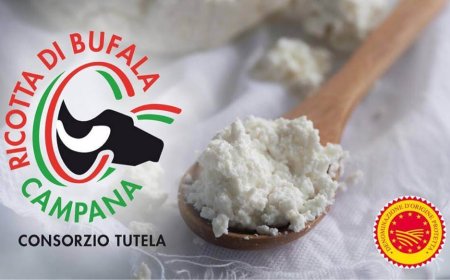 Ricotta di Bufala Campana Dop: sapore e genuinità certificata