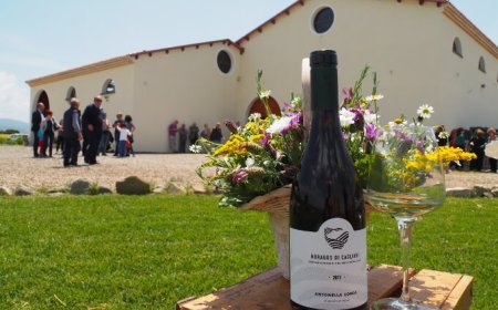 Antonella Corda: nella nuova cantina l'essenza della Sardegna