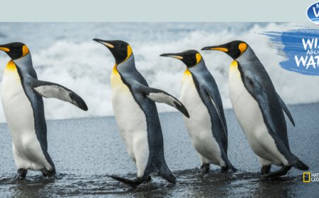 Nestlé Vera: nuova campagna per sensibilizzare sulla corretta idratazione