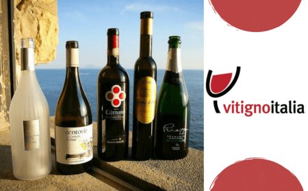 A VitignoItalia scelti i vincitori della Napoli Wine Challenge