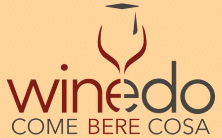 Winedo, la piattaforma online l’alfabetizzazione del vino