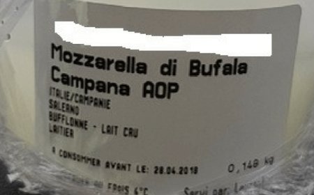 Scoperta falsa mozzarella di bufala a Bruxelles