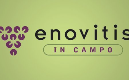 Torna Enovitis in campo e mette al centro la sostenibilità del vigneto