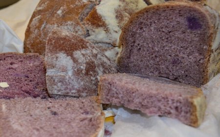 Ecco Well-Bred, l’innovativo “pane viola” made in Italy