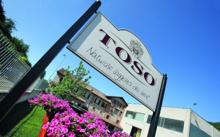 Toso brinda alla crescita 2017