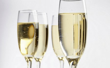 Prosecco e mozzarella le eccellenze italiane più cercate dai turisti stranieri