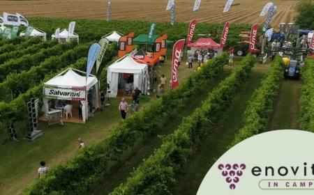 Enovitis in campo si conferma punto di riferimento per la viticoltura italiana