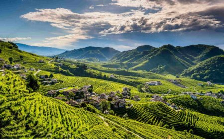 Colline del Prosecco: fallisce la candidatura al registro UNESCO