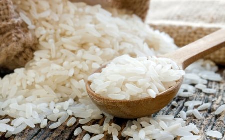 A Vercelli nasce il riso 6+, un alleato contro invecchiamento e malattie