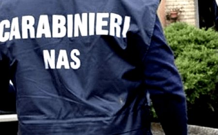 Cento tonnellate di falso biologico sequestrate dai Nas