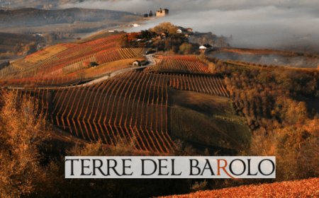 Terre del Barolo: nuovi vini ed energie alternative