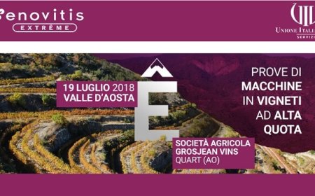Enovitis Extreme: tecnologie per la viticoltura eroica a Quart