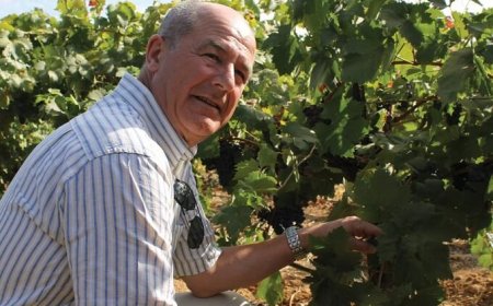 Vittorino Novello presidente Commissione Oiv