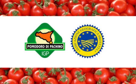 Al via Progetto Produttore: l'ingresso nel Consorzio di Tutela Pomodoro di Pachino è ora gratis