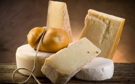 Tutela dei formaggi Made in Italy: accordo Assolatte con Giappone