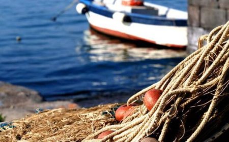 Fermo pesca 2018: firmato il decreto per lo stop delle attività nell'Adriatico