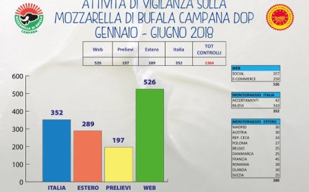 Aumentati del 30% i controlli sulla Mozzarella di Bufala Campana Dop