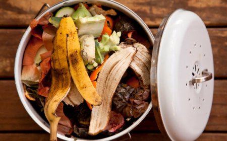 Future Food Institute: alla ricerca dell'innovazione contro lo spreco alimentare