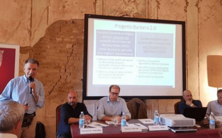 Progetto Barbera 2.0: la prima mappa sensoriale della Barbera d'Asti