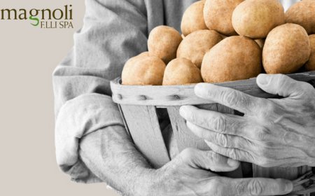 Romagnoli F.lli Spa archivia un 2017 di successi tra fatturato positivo e crescita