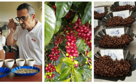 Caffè Gioia vola in Perù alla ricerca di Specialty Coffee