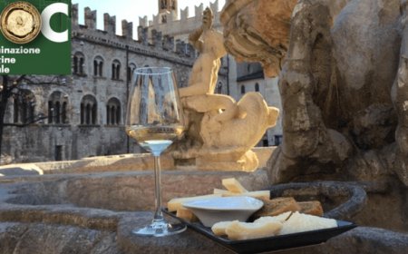 DOC - Denominazione di Origine Culturale a Trento il 15 settembre