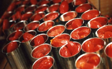 Anche per i derivati del pomodoro obbligo d'origine in etichetta