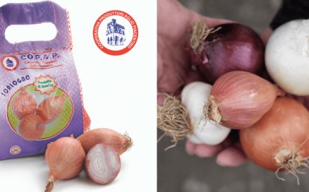 La Sagra dello Scalogno Piacentino ospita le specialità della CO.P.A.P.