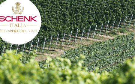Schenk Italian Wineries: in attesa della vendemmia, la situazione delle regioni