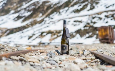 Risultato storico per Epokale di Cantina Tramin: 100/100 dalla guida di Robert Parker