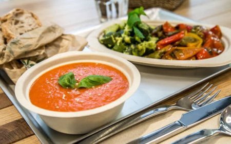 Una proposta di legge per garantire menù vegani e vegetariani nelle mense