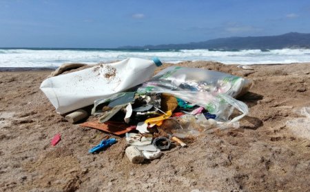 In Sardegna un hotel offre due calici di Malvasia a chi raccoglie plastica dalle spiagge