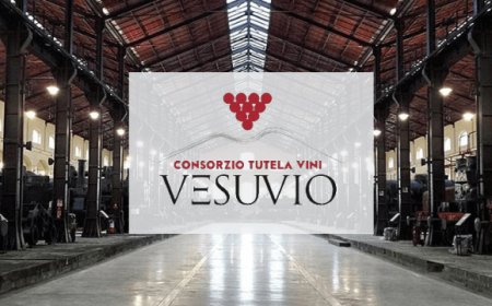 Vino e Musica: Vesuvio protagonista al Museo di Pietrarsa