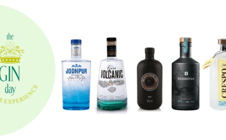 I gin premium di Mavi Drink al The Gin Day 2018