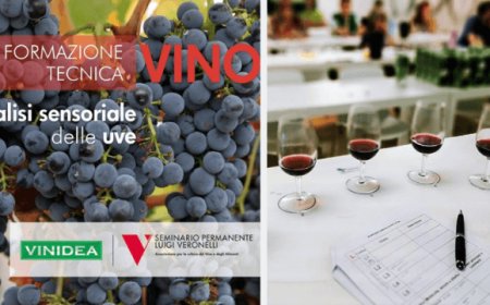 Seminario Veronelli e Vinidea: incontro tecnico su "metodologia ICV"