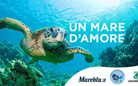 Mareblu per Tartalove: un concorso per salvare le tartarughe