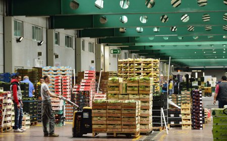 Roma - Parigi: accordo per il mercato agroalimentare