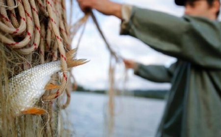 Non si arresta la polemica sul fermo pesca