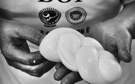 A scuola di Mozzarella Dop: parte il nuovo anno di studi