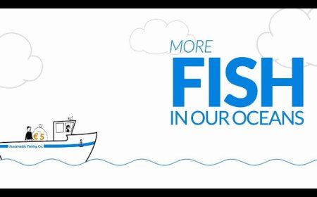 La piattaforma Catchy Data mostra i vantaggi della pesca sostenibile