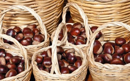 La Castagna di Serino diventa IGP