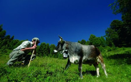 A Terra Madre tanti appuntamenti dedicati al tema degli allevamenti di qualità